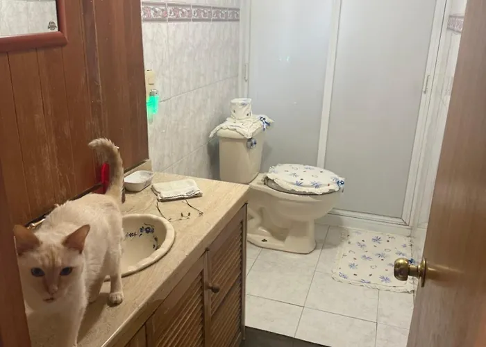 Exelenty Séjour chez l'habitant Mexico