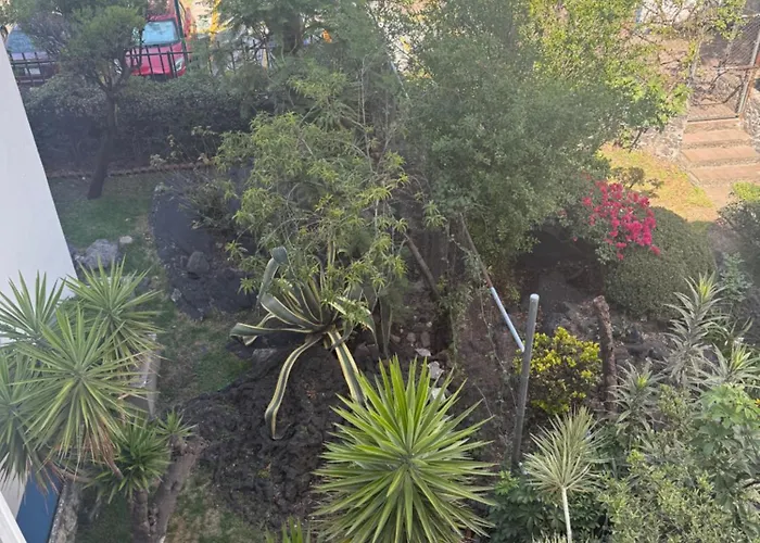 Séjour chez l'habitant Exelenty Mexico