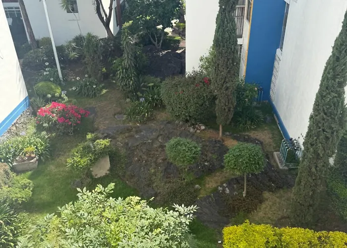 Exelenty Séjour chez l'habitant *
